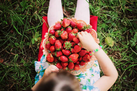 Young girl holding strawberries の写真素材