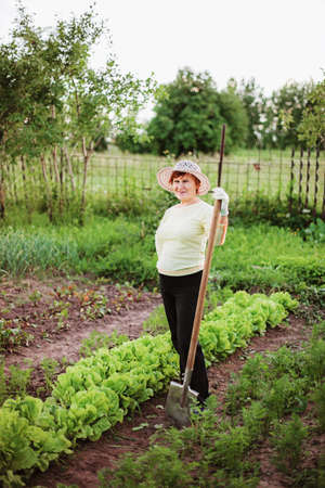 Gardener の写真素材