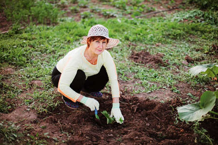 Gardener 