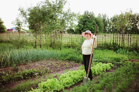 Gardener の写真素材