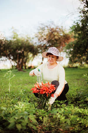 Gardener の写真素材
