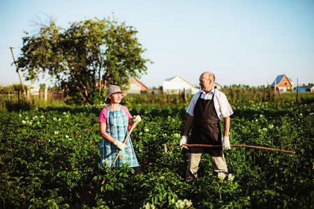 Gardener.の写真素材
