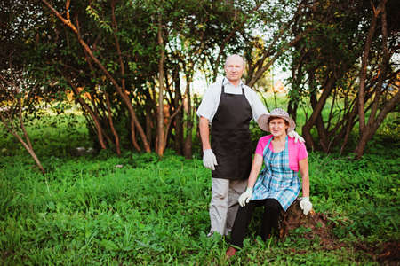 Gardener.の写真素材