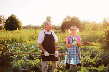 Gardener.の写真素材