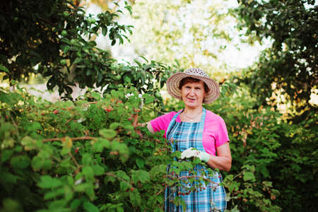 Gardener.の写真素材