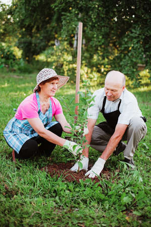 Gardener.の写真素材