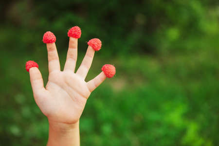 Hands.の写真素材