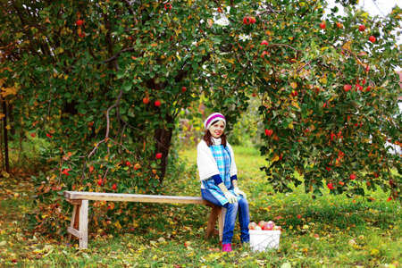 Harvest.の写真素材