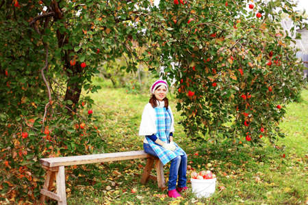 Harvest.の写真素材