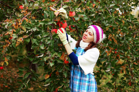 Harvest.の写真素材