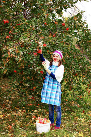Harvest.