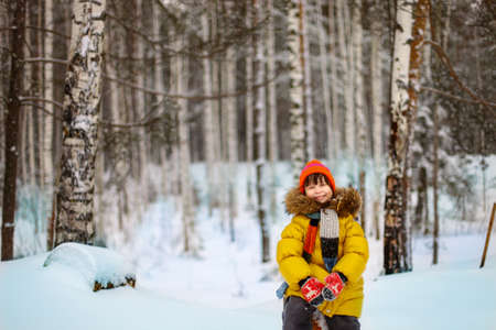 Portrait.の写真素材