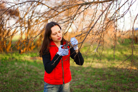 Gardener.の写真素材