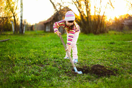 Gardening.の写真素材