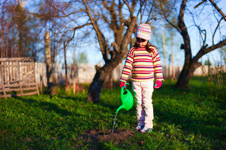 Gardening.の写真素材