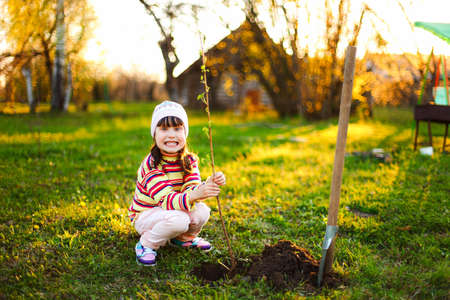 Gardening.の写真素材