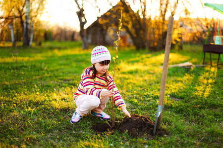 Gardening.の写真素材