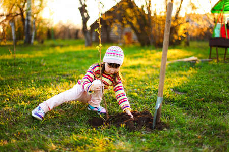 Gardening.の写真素材