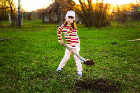 Gardening.の写真素材