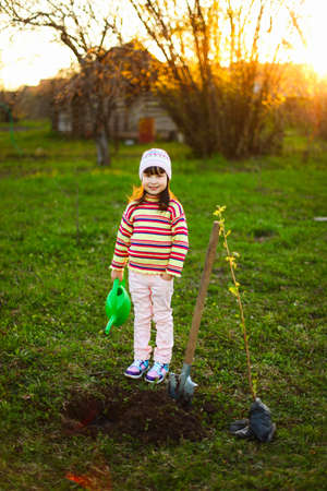 Gardening.の写真素材