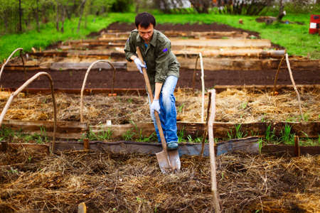 Gardening.の写真素材