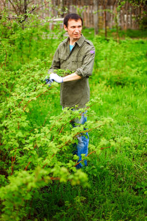 Gardening.の写真素材