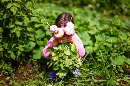 Child.の写真素材