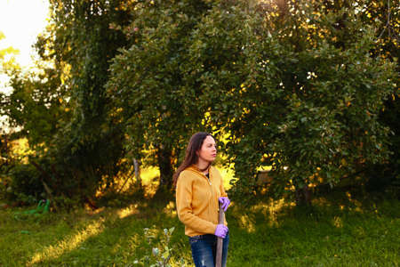 Garden.の写真素材