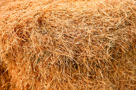 Haystack.の写真素材