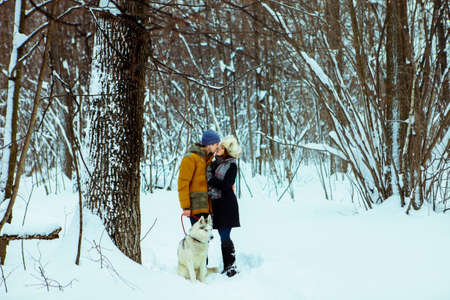 Couple.の写真素材