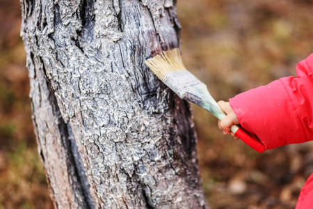 The child in garden happiness outdoors work.の写真素材