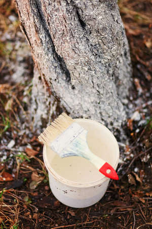 The Bucket closeup a tree and brush.の写真素材