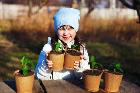 The Beautiful little seedlings in cups close up.の写真素材