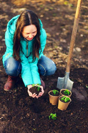 The Beautiful little seedlings in cups close up.の写真素材