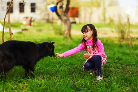 The Children happy outdoors feeding a goats.の写真素材