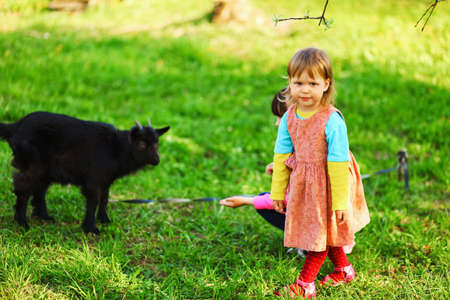 The Children happy outdoors feeding a goats.の写真素材