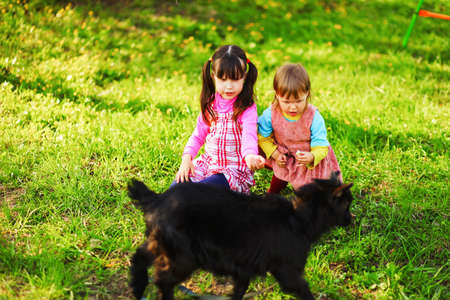 The Children happy outdoors feeding a goats.の写真素材