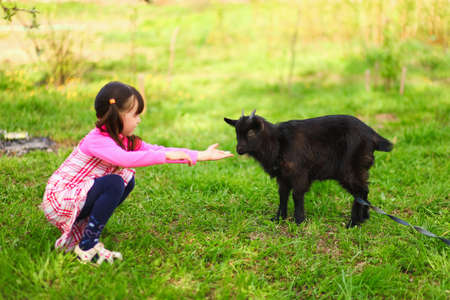 The Children happy outdoors feeding a goats.の写真素材