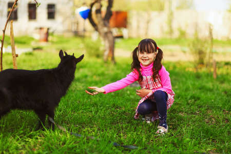 The Children happy outdoors feeding a goats.の写真素材