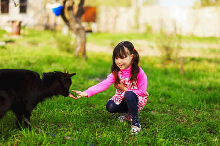 The Children happy outdoors feeding a goats.の写真素材