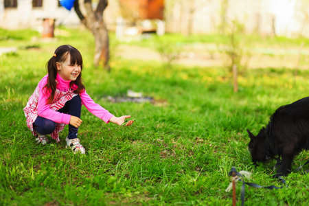 The Children happy outdoors feeding a goats.の写真素材