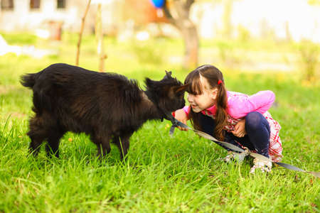 The Children happy outdoors feeding a goats.の写真素材