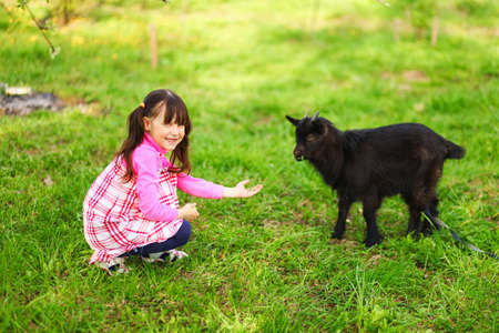 The Children happy outdoors feeding a goats.の写真素材