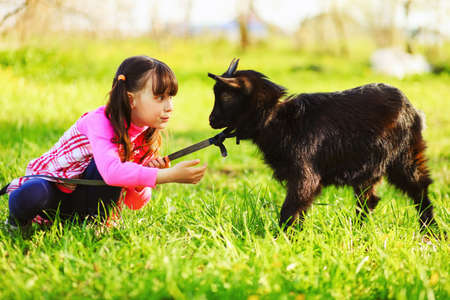 The Children happy outdoors feeding a goats.の写真素材