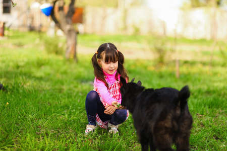 The Children happy outdoors feeding a goats.の写真素材