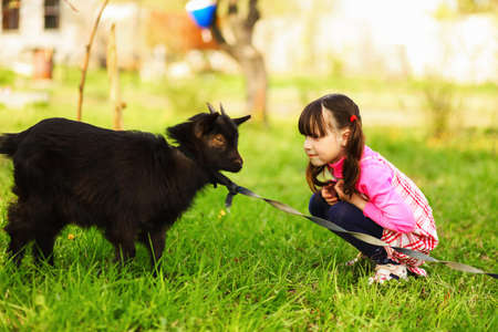 The Children happy outdoors feeding a goats.の写真素材