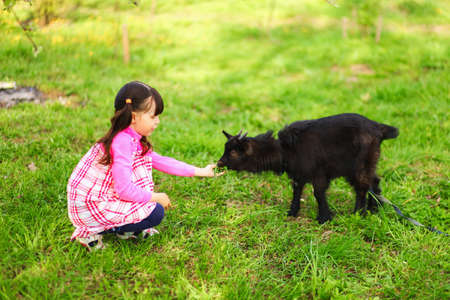 The Children happy outdoors feeding a goats.の写真素材