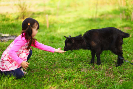 The Children happy outdoors feeding a goats.の写真素材
