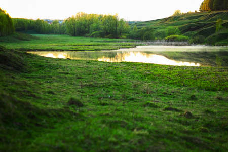 The beautiful pond and green grass sunlight.の写真素材