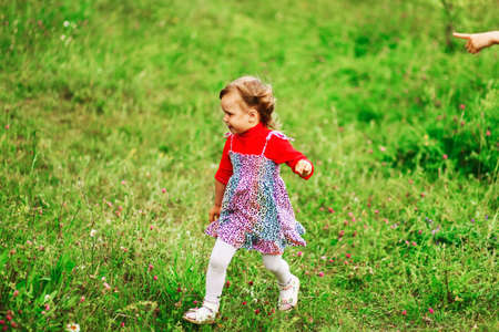 Cute portrait of a girl in the field.の写真素材